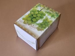 【贈答用】低温貯蔵シャインマスカット　1房(税・送料込み)