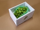 【贈答用】低温貯蔵シャインマスカット　1房(税・送料込み)