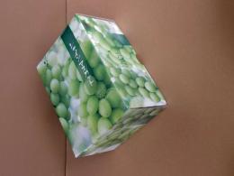 【贈答用】低温貯蔵シャインマスカット2房　(1㎏以上)　(税・送料込み)