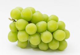 【贈答用】低温貯蔵シャインマスカット3房　(1.5㎏以上)　(税・送料込み)